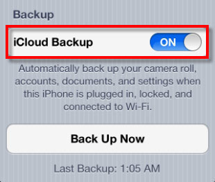 backup iphone data